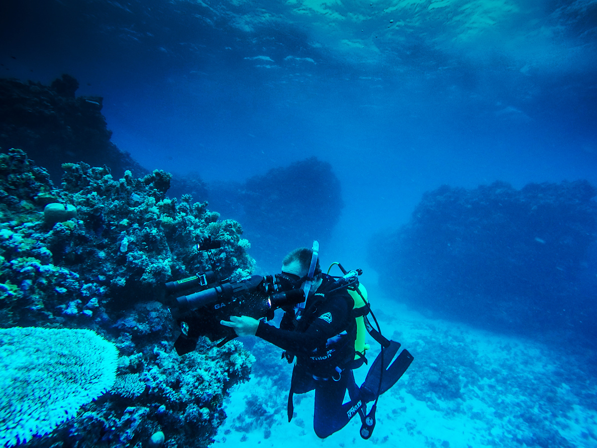 Underwater Production Professional Camera Operator Brisbane